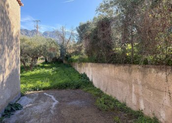 Giardino - Villa contrada traversa
 
snc, Ventimiglia di Sicilia - foto 8