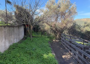 Giardino - Villa contrada traversa
 
snc, Ventimiglia di Sicilia - foto 9