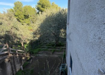 Giardino - Villa contrada traversa
 
snc, Ventimiglia di Sicilia - foto 10