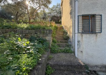 Giardino - Villa contrada traversa
 
snc, Ventimiglia di Sicilia - foto 11