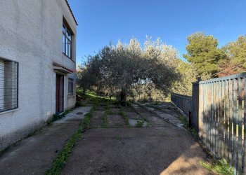 Giardino - Villa contrada traversa
 
snc, Ventimiglia di Sicilia - foto 12