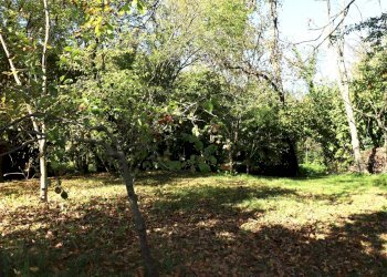 Foto 13 - Villa Fiume Veneto - foto 12