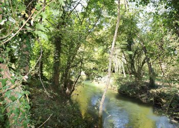 Foto 14 - Villa Fiume Veneto - foto 13