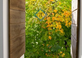 Foto 52 - Villa Fiume Veneto - foto 51