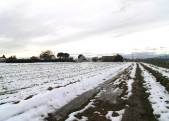 Rustico Via Cà Giunchi, Forlì - foto 16