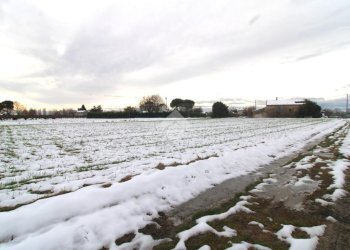 Rustico Via Cà Giunchi, Forlì - foto 23