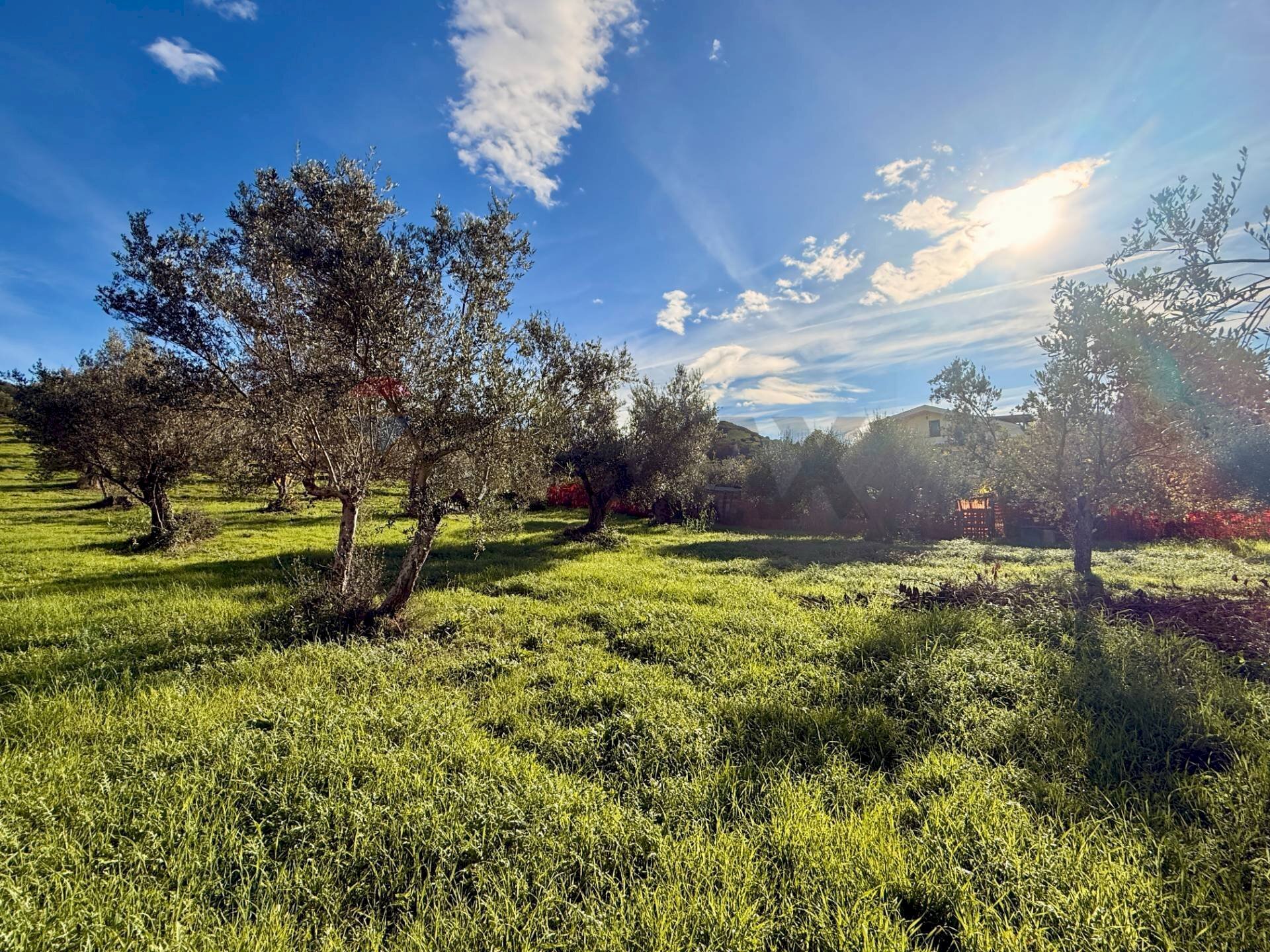 Giardino - Terreno edificabile Via Fonte Dell'Abbazia, Montesilvano - foto 2