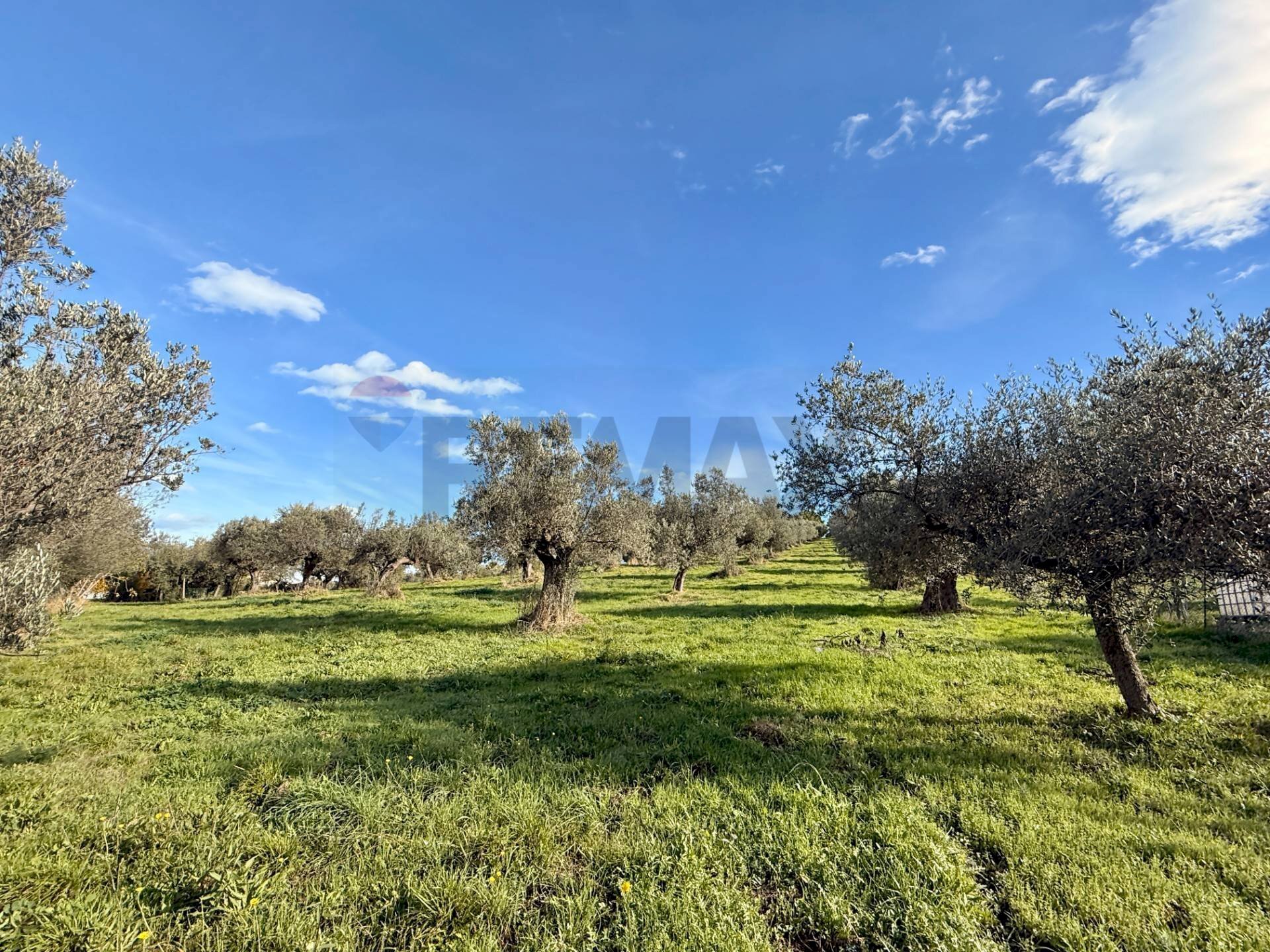 Giardino - Terreno edificabile Via Fonte Dell'Abbazia, Montesilvano - foto 3
