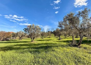 Giardino - Terreno edificabile Via Fonte Dell'Abbazia, Montesilvano - foto 1
