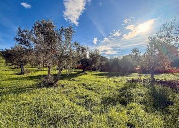 Giardino - Terreno edificabile Via Fonte Dell'Abbazia, Montesilvano - foto 2