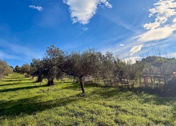 Giardino - Terreno edificabile Via Fonte Dell'Abbazia, Montesilvano - foto 5