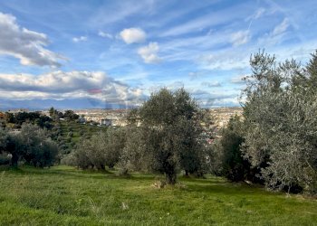 Giardino - Terreno edificabile Via Fonte Dell'Abbazia, Montesilvano - foto 6
