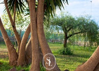 Foto 5 - Villa Via Antonio Martano
 
30, Nardò - foto 5