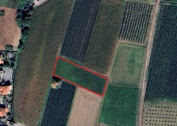 Mappa - Agricultural land via Monsignor Scalafiotti, 17, Verzuolo - photo 1