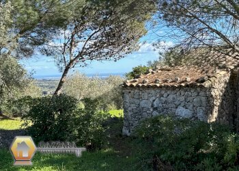 Foto 3 - Rustic C.DA GAROFALO
 
SN, Canicattini Bagni - photo 3