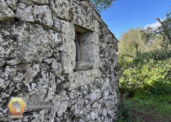 Foto 6 - Rustic C.DA GAROFALO
 
SN, Canicattini Bagni - photo 6