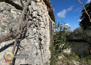 Foto 7 - Rustic C.DA GAROFALO
 
SN, Canicattini Bagni - photo 7