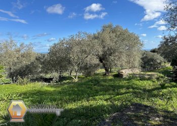 Foto 19 - Rustic C.DA GAROFALO
 
SN, Canicattini Bagni - photo 19