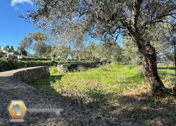 Foto 21 - Rustic C.DA GAROFALO
 
SN, Canicattini Bagni - photo 21