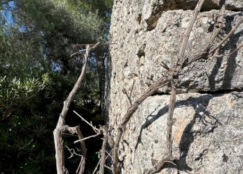 Foto 26 - Rustic C.DA GAROFALO
 
SN, Canicattini Bagni - photo 26