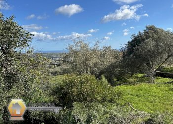 Foto 28 - Rustic C.DA GAROFALO
 
SN, Canicattini Bagni - photo 28