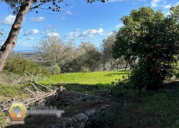 Foto 32 - Rustic C.DA GAROFALO
 
SN, Canicattini Bagni - photo 32