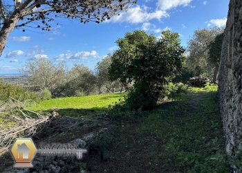 Foto 36 - Rustic C.DA GAROFALO
 
SN, Canicattini Bagni - photo 36