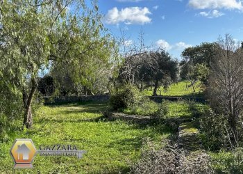 Foto 38 - Rustic C.DA GAROFALO
 
SN, Canicattini Bagni - photo 38