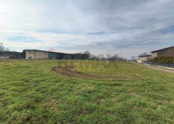 Giardino - Terreno agricolo Fiesse - foto 1