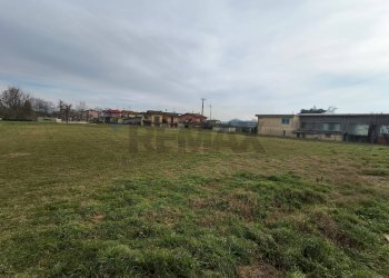 Giardino - Terreno agricolo Fiesse - foto 5