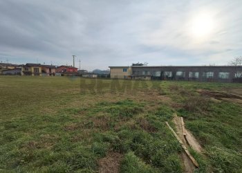 Giardino - Terreno agricolo Fiesse - foto 8