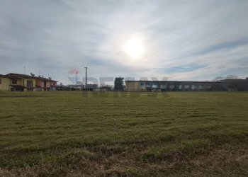 Giardino - Terreno agricolo Fiesse - foto 9