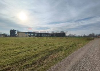 Giardino - Terreno agricolo Fiesse - foto 10