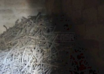 WhatsApp Image 2026-01-07 at 12.36.51(1).jpeg - Villa Via Abate 1, Scorrano - foto 2