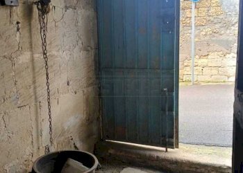 WhatsApp Image 2026-01-07 at 12.36.52.jpeg - Villa Via Abate 1, Scorrano - foto 4