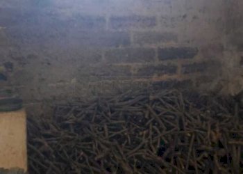 WhatsApp Image 2026-01-07 at 12.37.02.jpeg - Villa Via Abate 1, Scorrano - foto 5