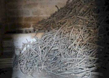 WhatsApp Image 2026-01-07 at 12.37.03(2).jpeg - Villa Via Abate 1, Scorrano - foto 7