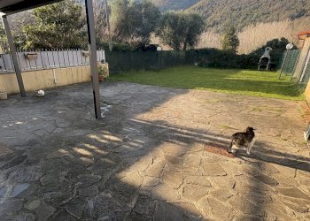 17scopeti.jpeg - Appartamento Rufina - foto 17