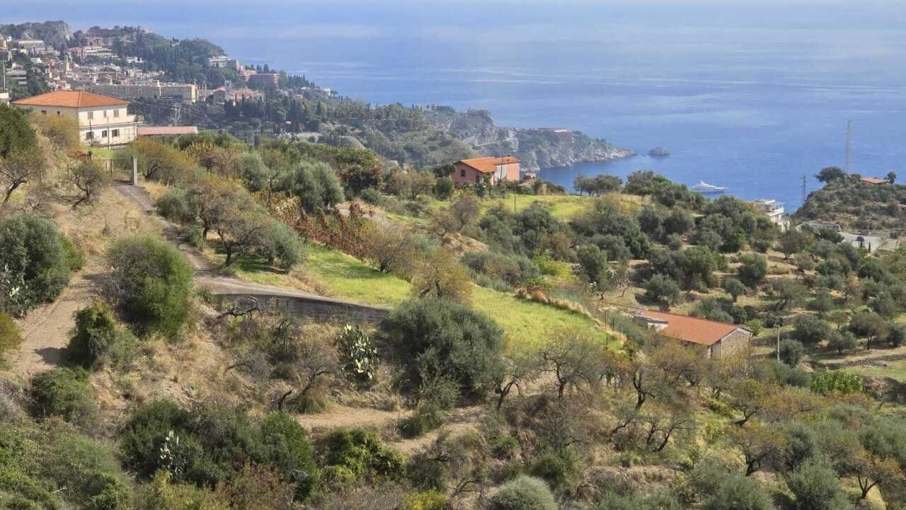 WhatsApp Image 2025-12-23 at 18.59.57.jpeg - Terreno agricolo c, da mastrissa, Castelmola - foto 3