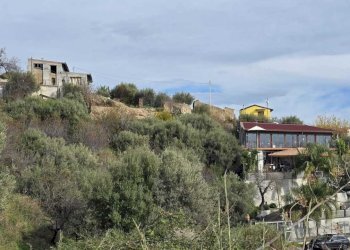 WhatsApp Image 2025-12-23 at 18.53.48 (1).jpeg - Terreno agricolo c, da mastrissa, Castelmola - foto 15