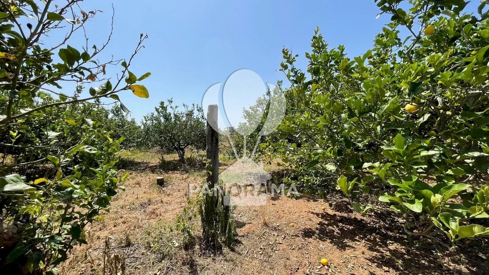Terreno edificabile Contrada Telegrafo, Balestrate - foto 2