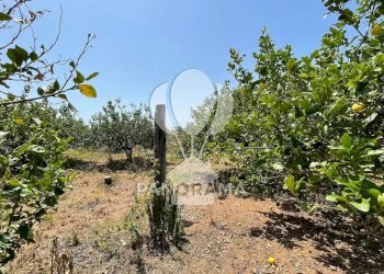 Terreno edificabile Contrada Telegrafo, Balestrate - foto 2