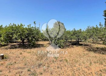 Terreno edificabile Contrada Telegrafo, Balestrate - foto 3