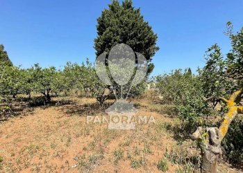 Terreno edificabile Contrada Telegrafo, Balestrate - foto 5