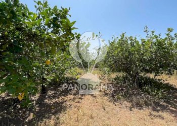 Terreno edificabile Contrada Telegrafo, Balestrate - foto 9