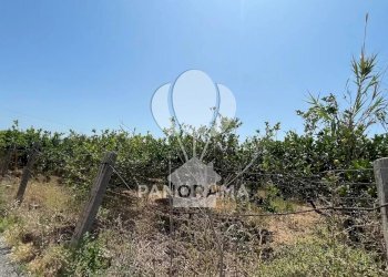 Terreno edificabile Contrada Telegrafo, Balestrate - foto 12