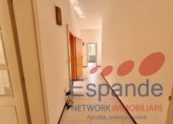 Appartamento Galeata - foto 13