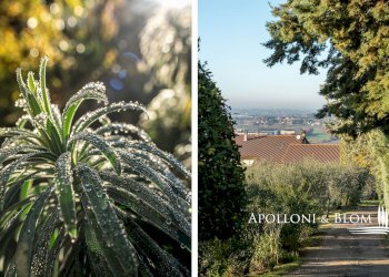 Appartamento Via Gioveto, 28, Panicale - foto 25