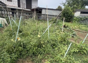 Appartamento Spirano - foto 3