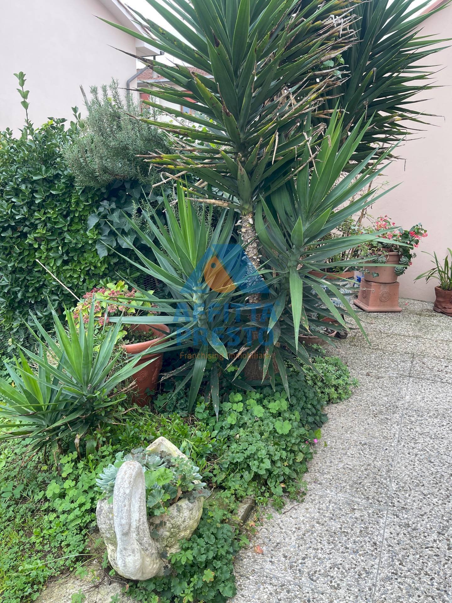 Foto 2 - Apartment San Miniato - photo 2